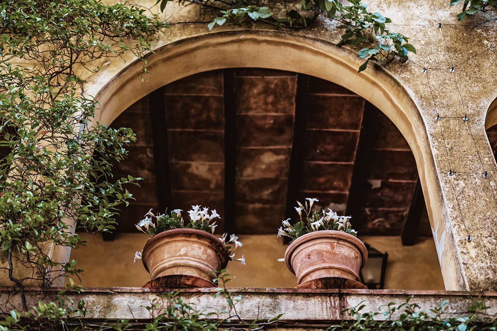 chianti-estate-01