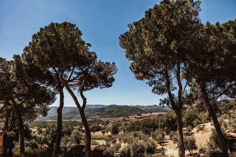 chianti-estate-15