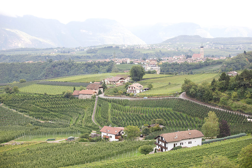 wedding-in-bolzano-castle-33