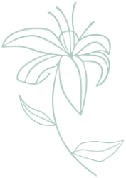 Tuscan Lilly