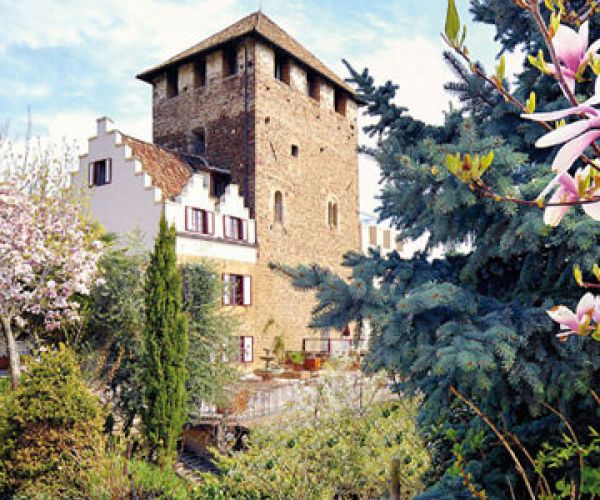 Fairytale Alpine Castle