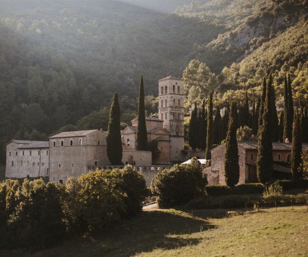 Magical Abbey with Park