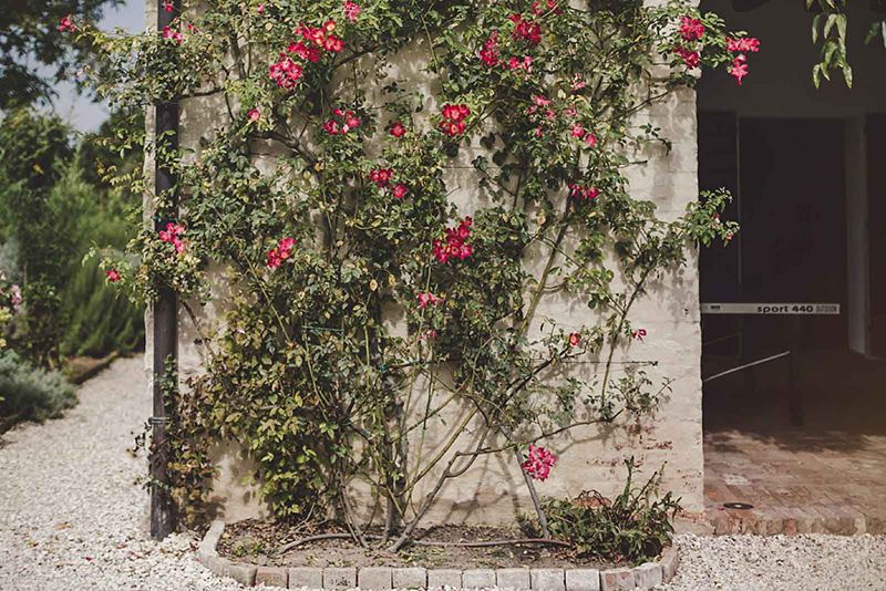 veneto-wedding-distinctive-italy-24