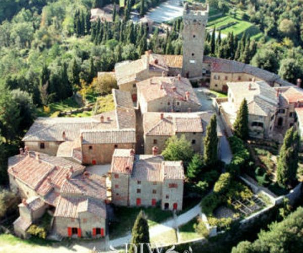 Castle with Hamlet