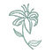 Green Lilly
